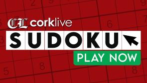Cork Live Interactive Sudoku Puzzle
