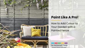 Paint Like a Pro: How to Add Colour to Your Garden with A Painted Fence