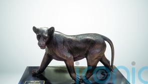 Pride of life-sized bronze lions go on display in Edinburgh