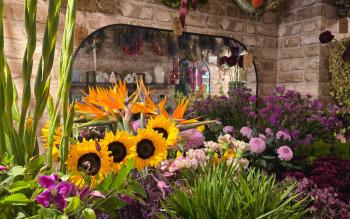 I Love you a Lily more each day! Five on trend and unique flowers to buy this Valentine's Day