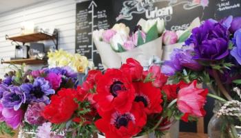 The Urban Co-operative - Loving the Land: As seen in the Feb&ndash;Mar Issue of Limerick Life