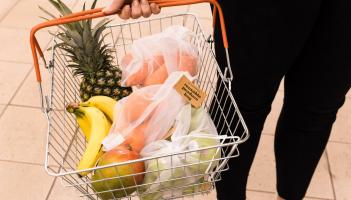 GUIDE: Tips for family food shopping as inflation rises