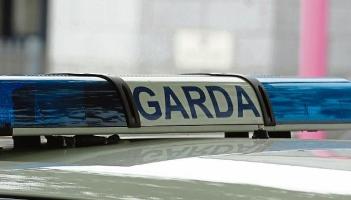 Cork: Witness appeal after woman allegedly assaulted on forest trail
