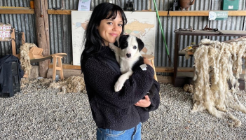 Wednesday star Jenna Ortega spotted in 'random' location in Ireland