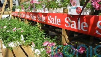 Money-saving tips to boost your borders