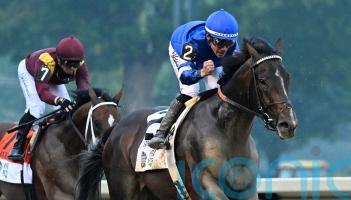 Mott forced to rule out Classic bid for favourite Sovereignty