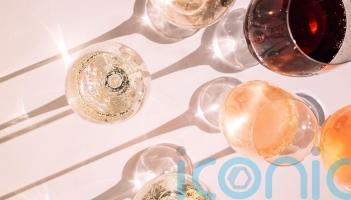 9 superb wines of 2025 to snap up now