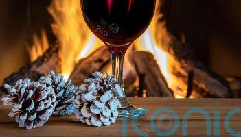 6 lip-smacking reds for cosy nights in