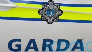 Girl, 16, killed in hit-and-run in Navan