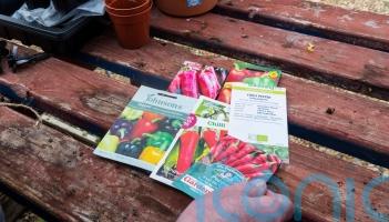 Should you use out-of-date seeds?