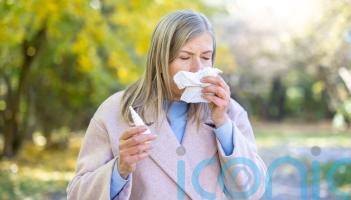 How to prepare for hay fever season