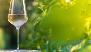 6 wonderful whites to signal springtime