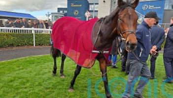 Causeway looks the part with Madrid Handicap strike at Naas