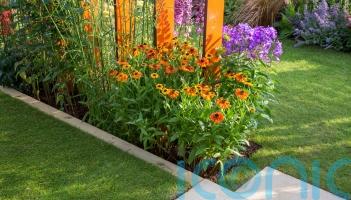 How to get your garden summer-ready