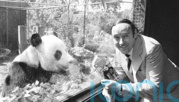 Desmond Morris remembered for &lsquo;lifetime of curiosity and creativity&rsquo;