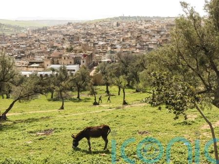 Discover Fes &ndash; Morocco&rsquo;s historic second city and Marrakech&rsquo;s less-visited alternative