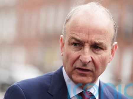 I will lead Fianna Fail into the next election &ndash; Martin
