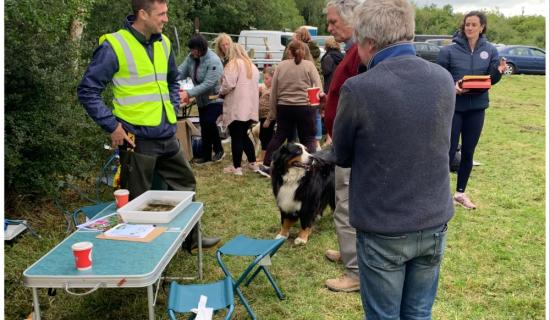 Sowing Seeds of a Greener Future - Veri Connect at All-Ireland Sustainability Summit &lsquo;24