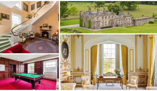 PICTURES: Bridgerton vibes inside and out at stunning Waterford manor on sale for &euro;12m