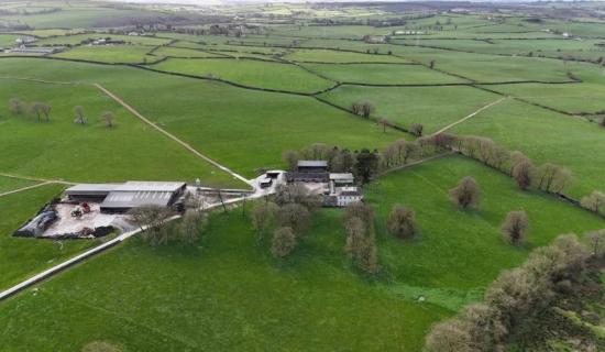 'Record price': Irish farm sells for over &euro;4m in hotly-contested auction