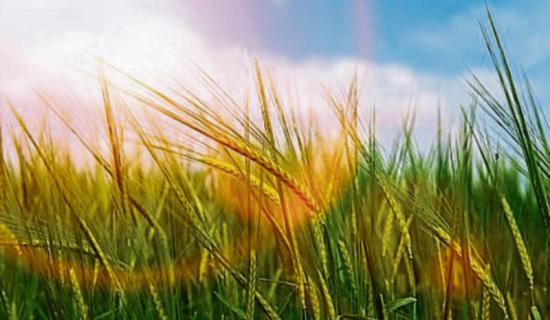 OFFICIAL! Met &Eacute;ireann confirms summer 2025 was the hottest in Ireland since records began