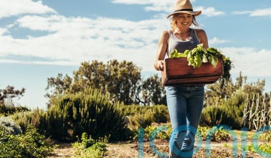 GUIDE: Ways to make your life more eco-friendly while also saving money