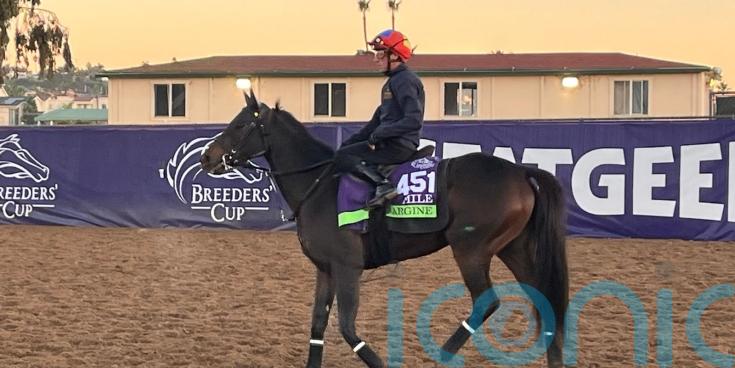 Dettori looking to end on a high with Argine