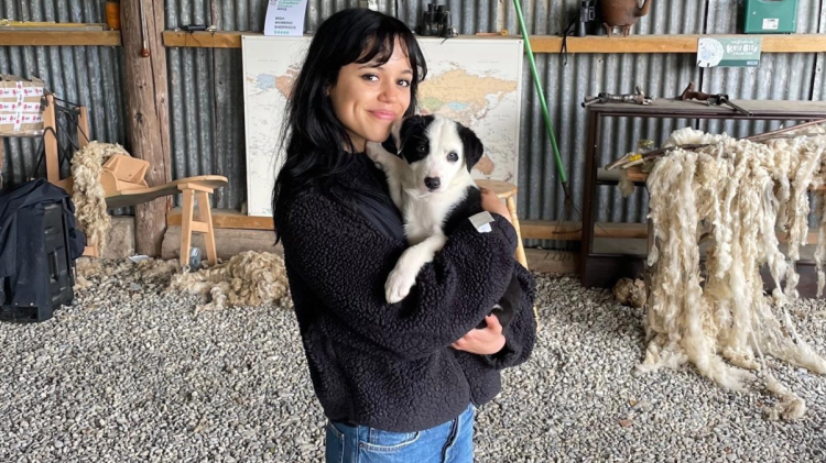 Wednesday star Jenna Ortega spotted in 'random' location in Ireland