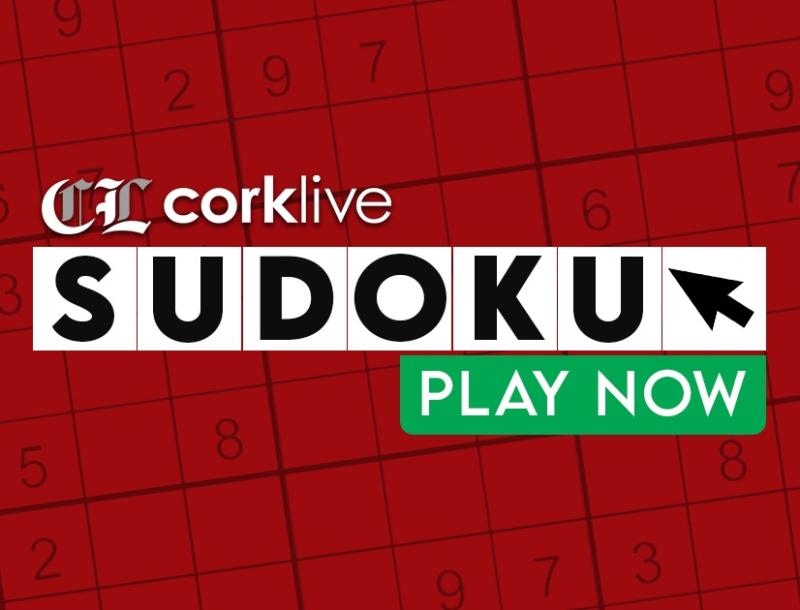 Cork Live Interactive Digital SudokuPuzzle