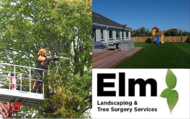 Garden maintenance and tree surgery services with Elm Landscaping
