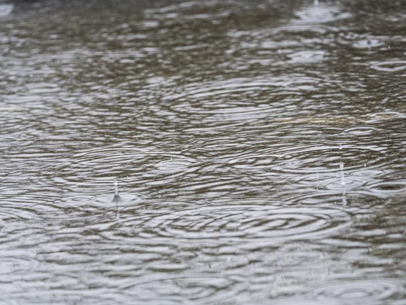 ALERT: Heavy downpours and hail forecast as Met &Eacute;ireann issues warning for eight counties