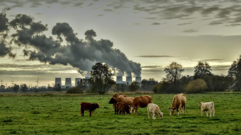 'Time to plan seriously' - State facing fines of up to €20bn for missing carbon targets