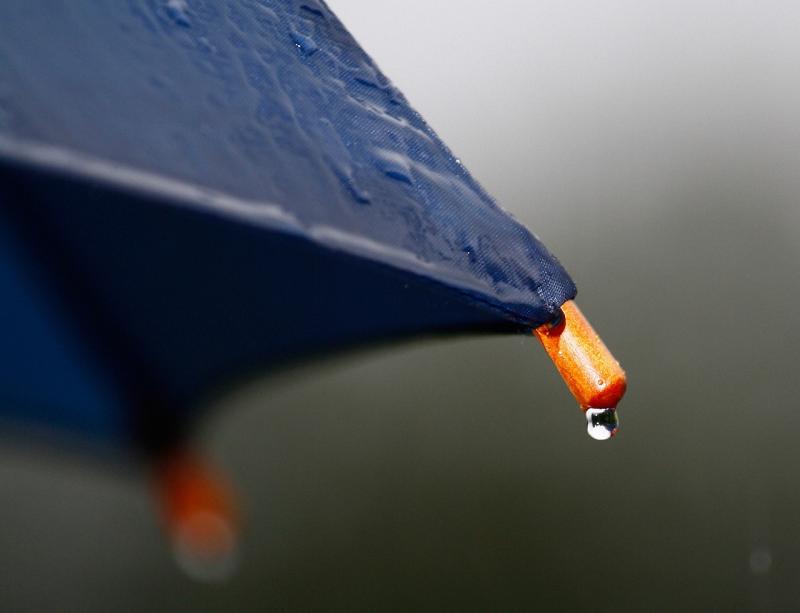 LIVE: Met Éireann forecasts rise in temperatures but don't put away the umbrella just yet!