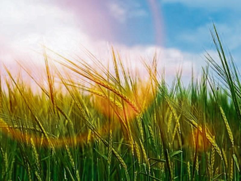 OFFICIAL! Met Éireann confirms summer 2025 was the hottest in Ireland since records began