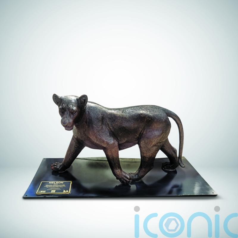 Pride of life-sized bronze lions go on display in Edinburgh