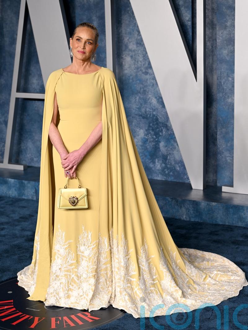 Sharon Stone on humanitarianism: You don&rsquo;t save lives winning a Golden Globe