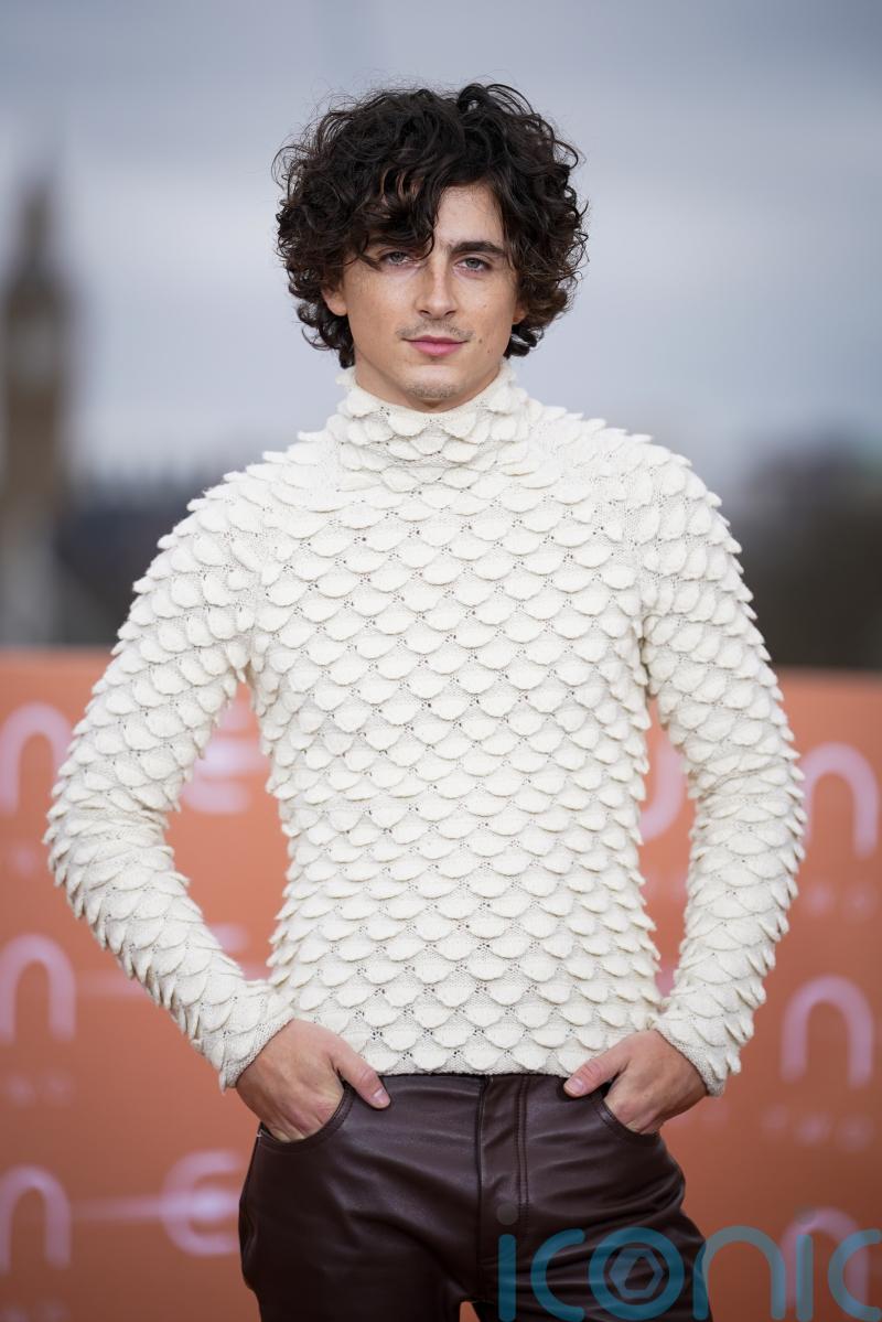 Timothee Chalamet was told he did not have &lsquo;right body&rsquo; for blockbuster roles