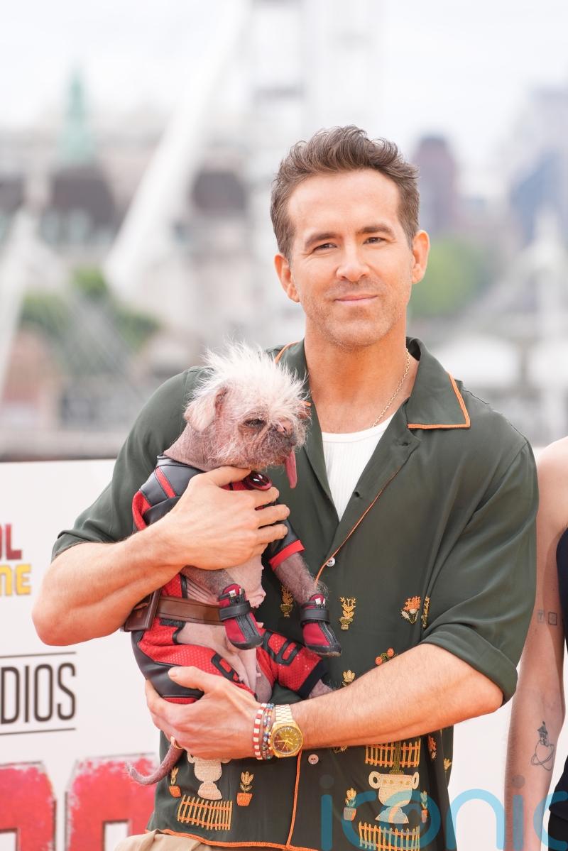Ryan Reynolds promises to &lsquo;get down in the mud&rsquo; in new nature documentary