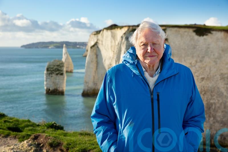 Attenborough tells William he hopes Ocean film will move people to action