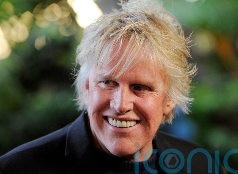 Actor Gary Busey given probation for sexual offence at 2022 horror convention