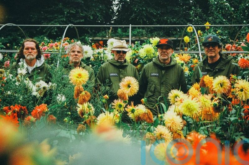 Welsh rock band Super Furry Animals to reform for tour next year