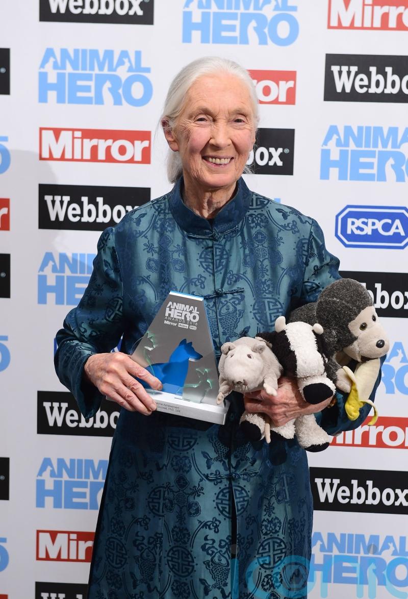 William hails Jane Goodall for ‘challenging us all to make a difference’