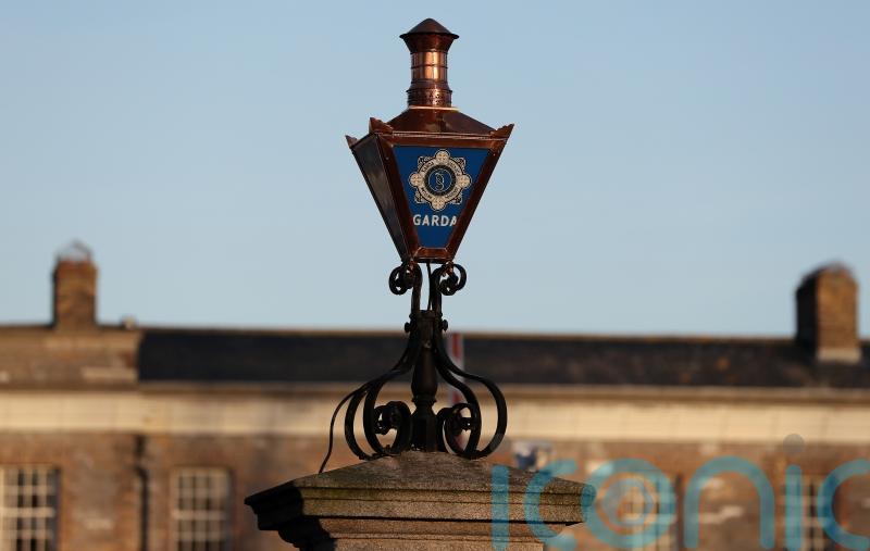 Man arrested over alleged assault on Catherine Connolly canvasser