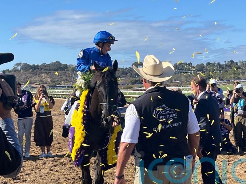 Rebel’s Romance goes down fighting in bid for history