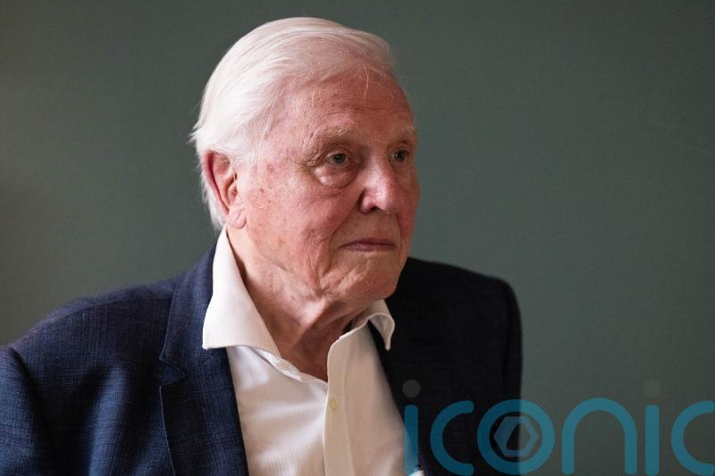 New David Attenborough docuseries ‘almost Shakespearean’ in feel, says producer