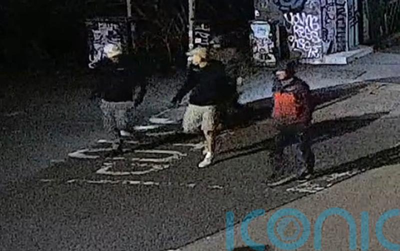 Suspects sought after more than 600 artefacts stolen from museum collection