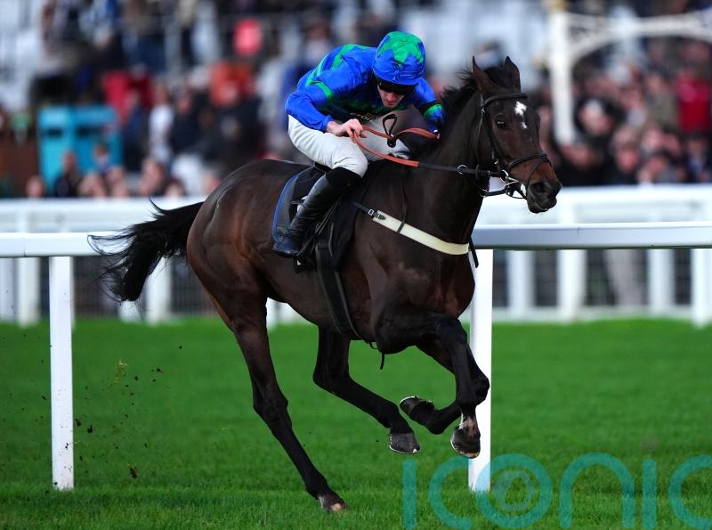 Big dreams for Bass Hunter after Ascot bumper triumph