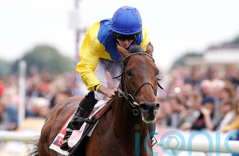 Marmelo thriving in life after racing