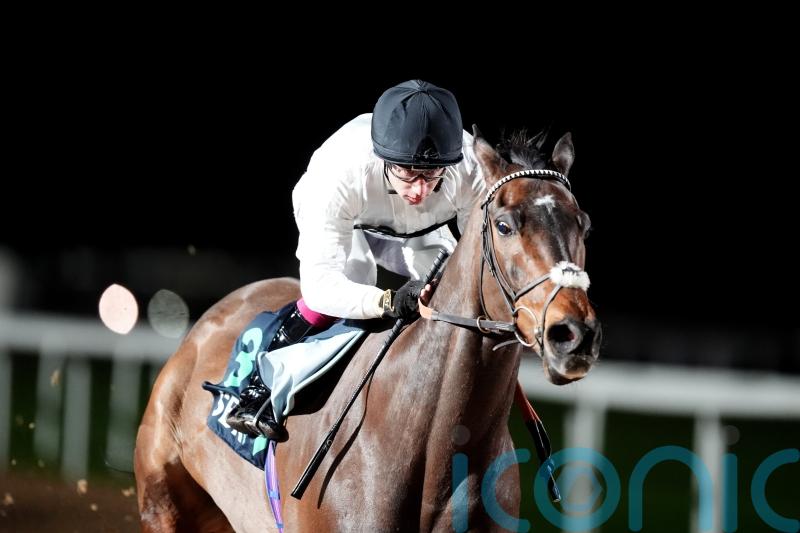 Michael Buckley has Melbourne Cup dream for Constitution Hill