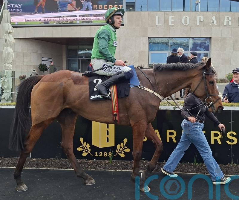 Class shines through as El Fabiolo canters to Leopardstown win